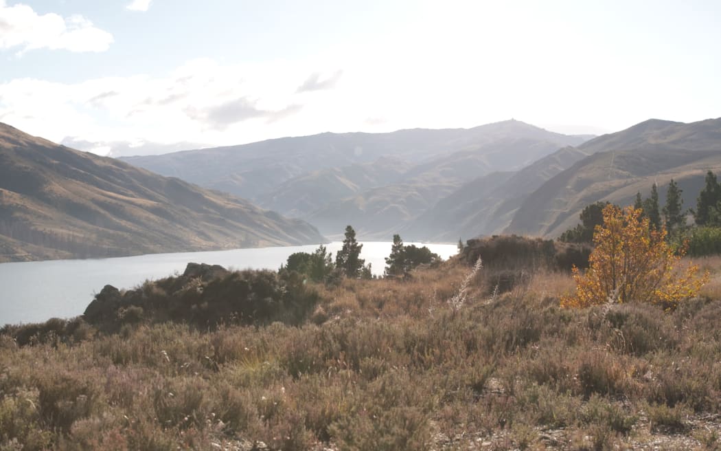 Lake Dunstan. Photo: RNZ