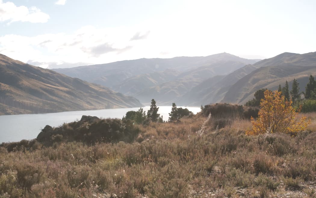 Lake Dunstan. Photo: RNZ 