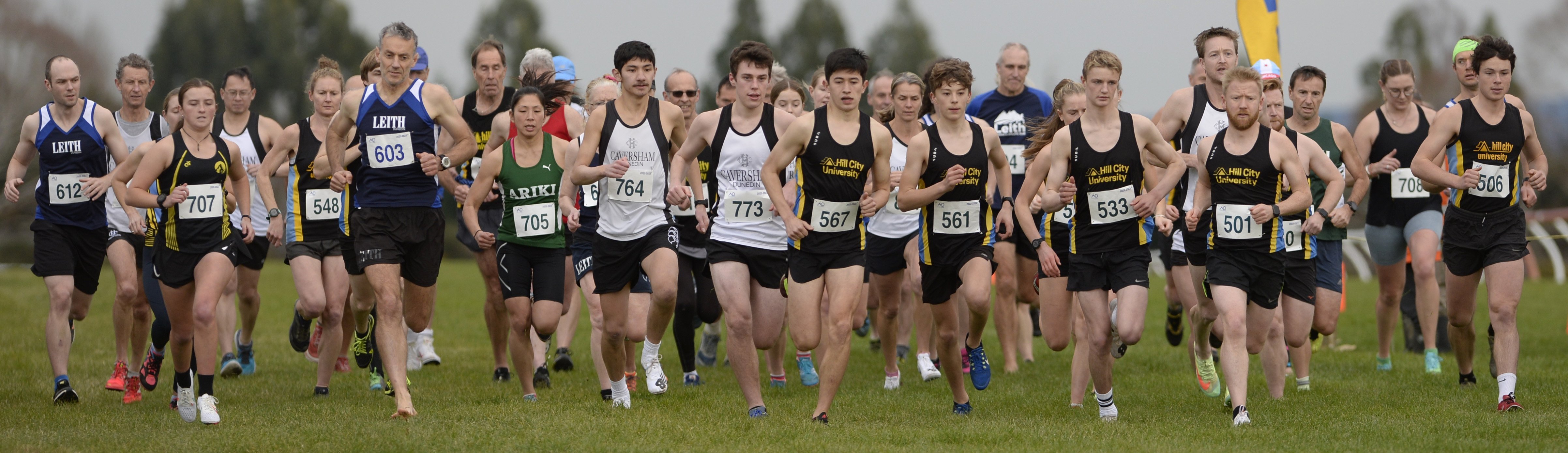 The field in the Edmond Cup gets under way at Wingatui on Saturday. PHOTOS: GERARD O'BRIEN