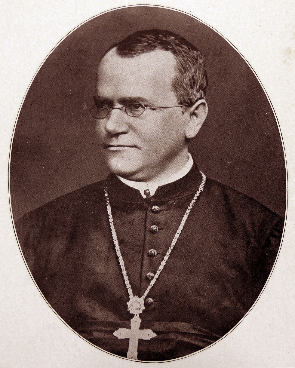 Austrian botanist and biologist Gregor Johann Mendel (1822-1884). PHOTO: GETTY IMAGES