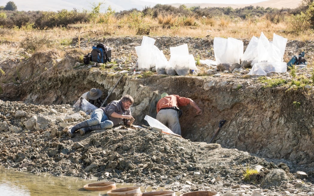 Paleontologists working at the Saint Bathans dig site in February 2022. File photo. Photo:...