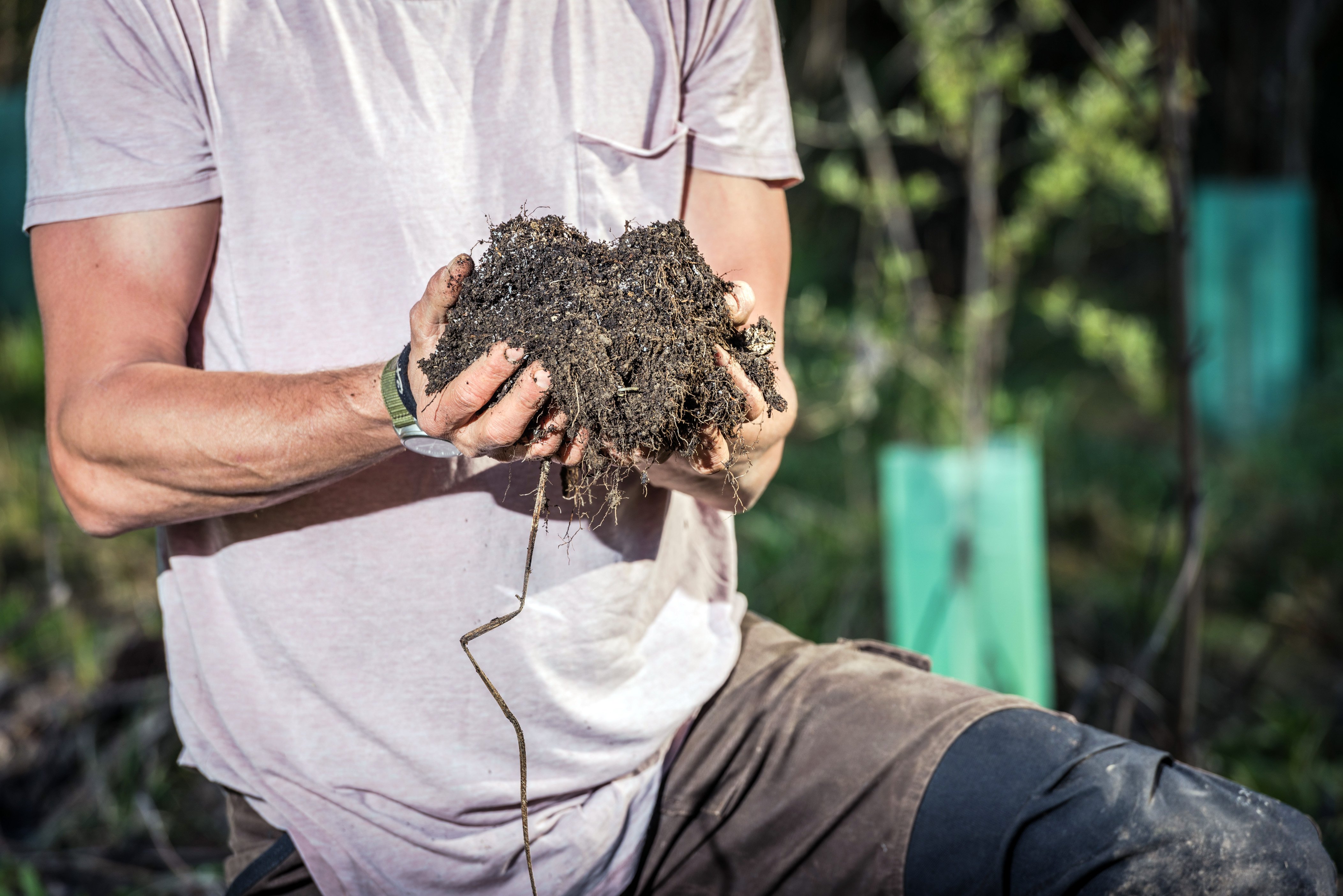 Our soil is the most  complex  ecosystem on  the planet. Photo: Si Williams