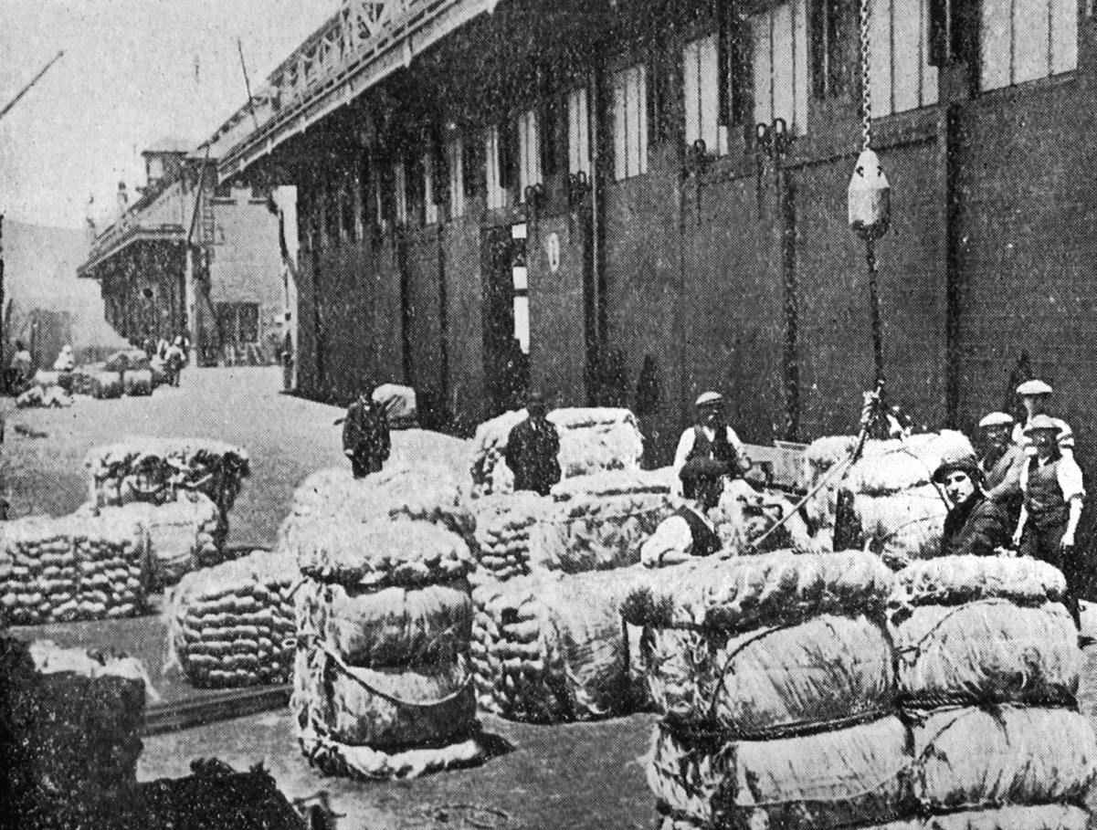 Bales of fibre (then known as "hemp"), which was extracted from harakeke or NZ flax (Phormium...