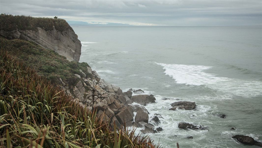 The 5.5km Point Elizabeth walk between North Beach and Rapahoe hugs coastal cliffs. Photo: DOC