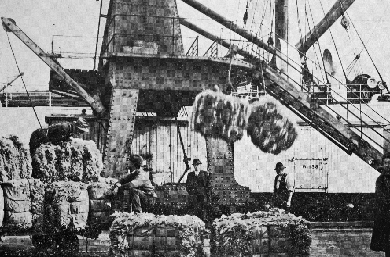 Sheepskins in wool being loaded for export, for which the value for five months ending May 31,...