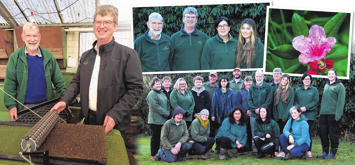 Second- and third-generation plantsmen Denis (left) and Chris Hughes at the family business Blue...