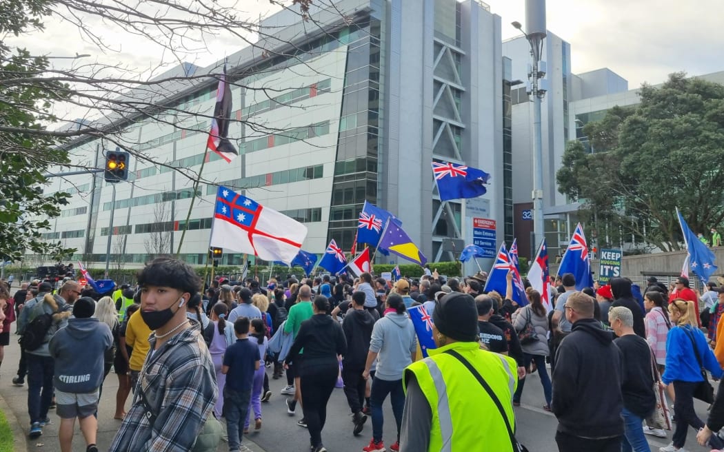 Participants at the Freedom and Rights Coalition protest in Auckland today. Photo: RNZ