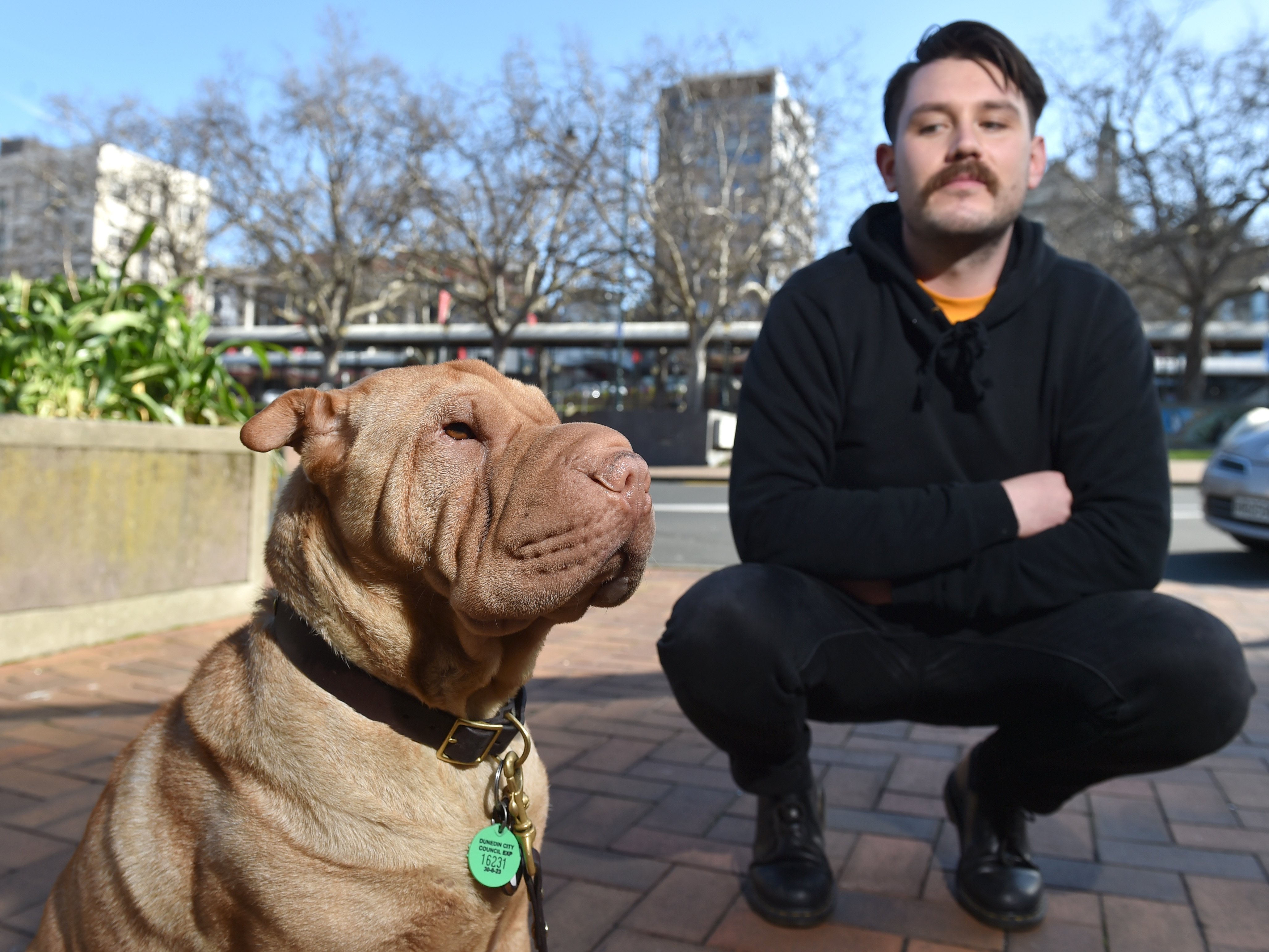 John, a shar pei who has a local following in central Dunedin, and his owner Troy Butler, welcome...