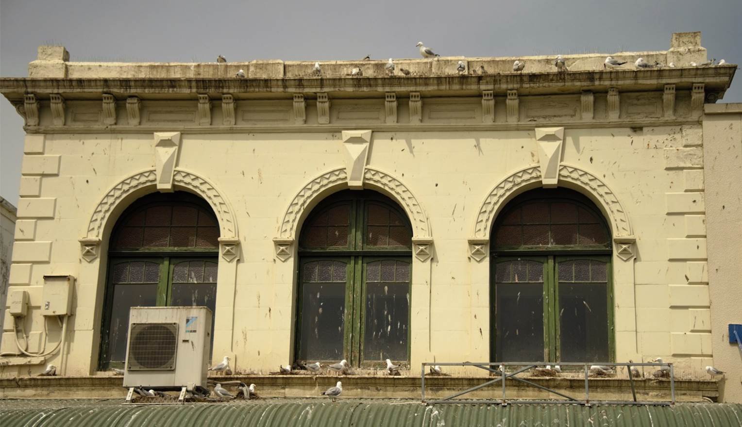 Red-billed gulls (tarapunga) nest on an Oamaru building. PHOTO: SUPPLIED