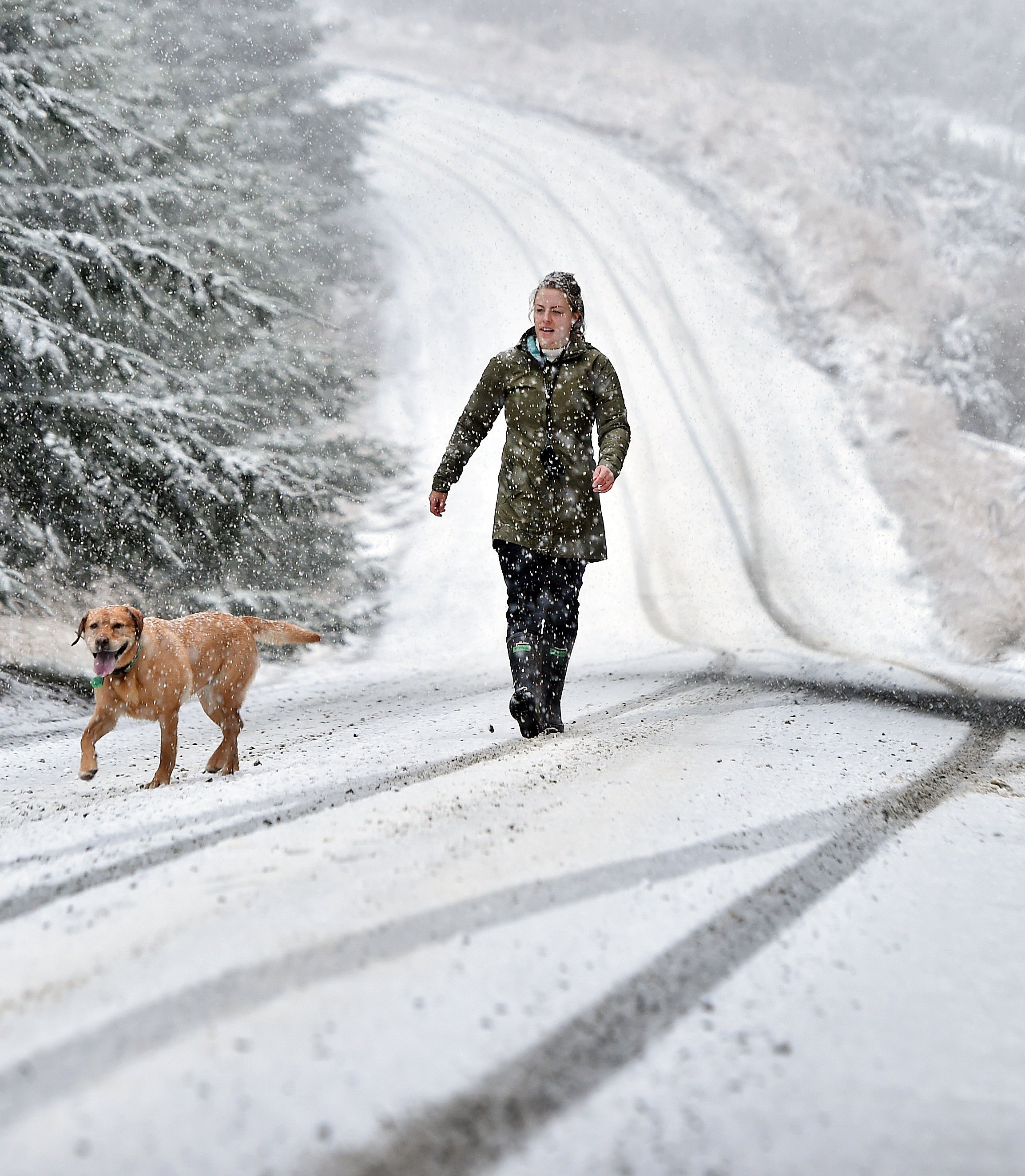 Emma Donovan, of Dunedin, walks with her dog Annie as the snow falls on Flagstaff Whare Flat Rd,...