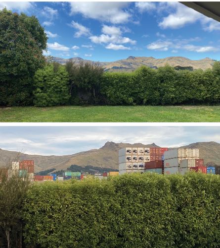 Before and after views from one resident’s backyard. Photos: Supplied