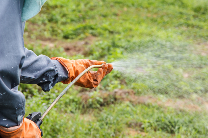 weed killer spray getty