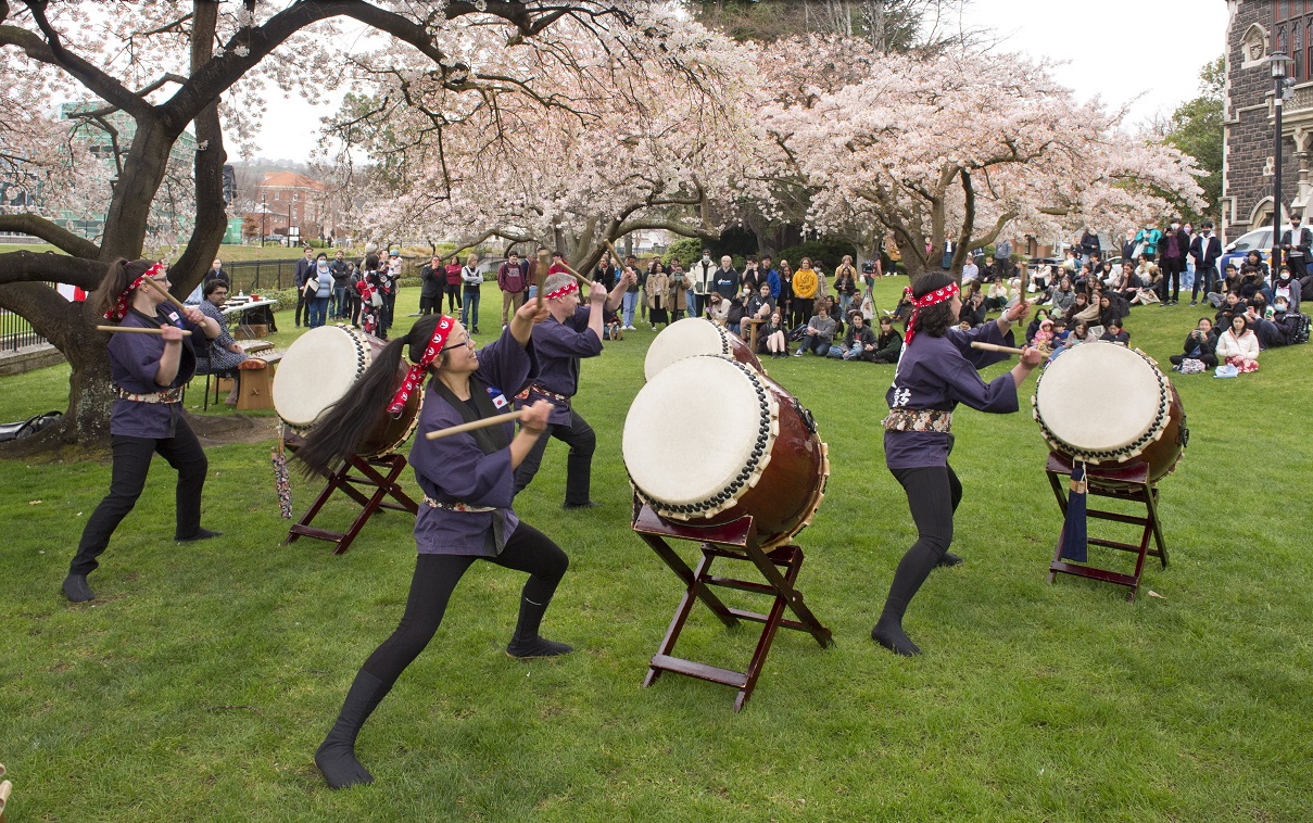 Members of the Japanese-style taiko drum ensemble O-Taiko perform at the Hanami celebration at...