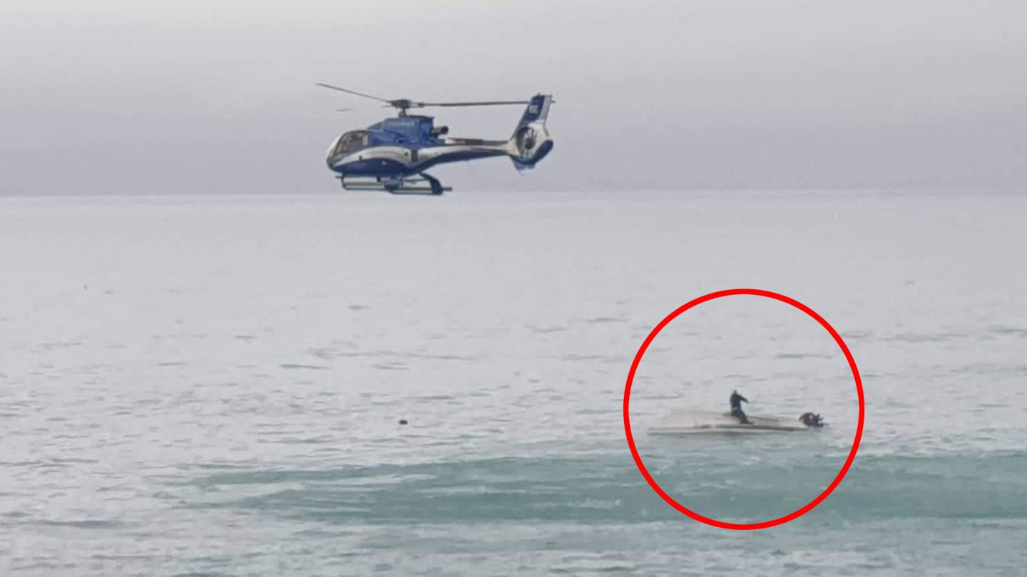 new zealand whale encounter