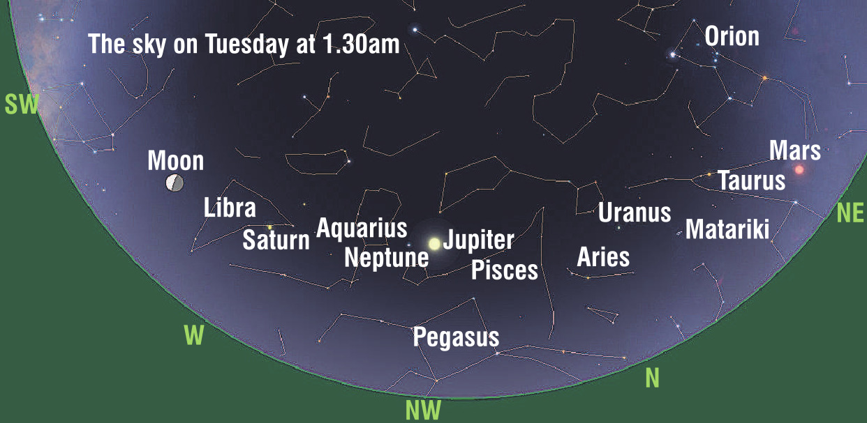 Graphic: Ian Griffin