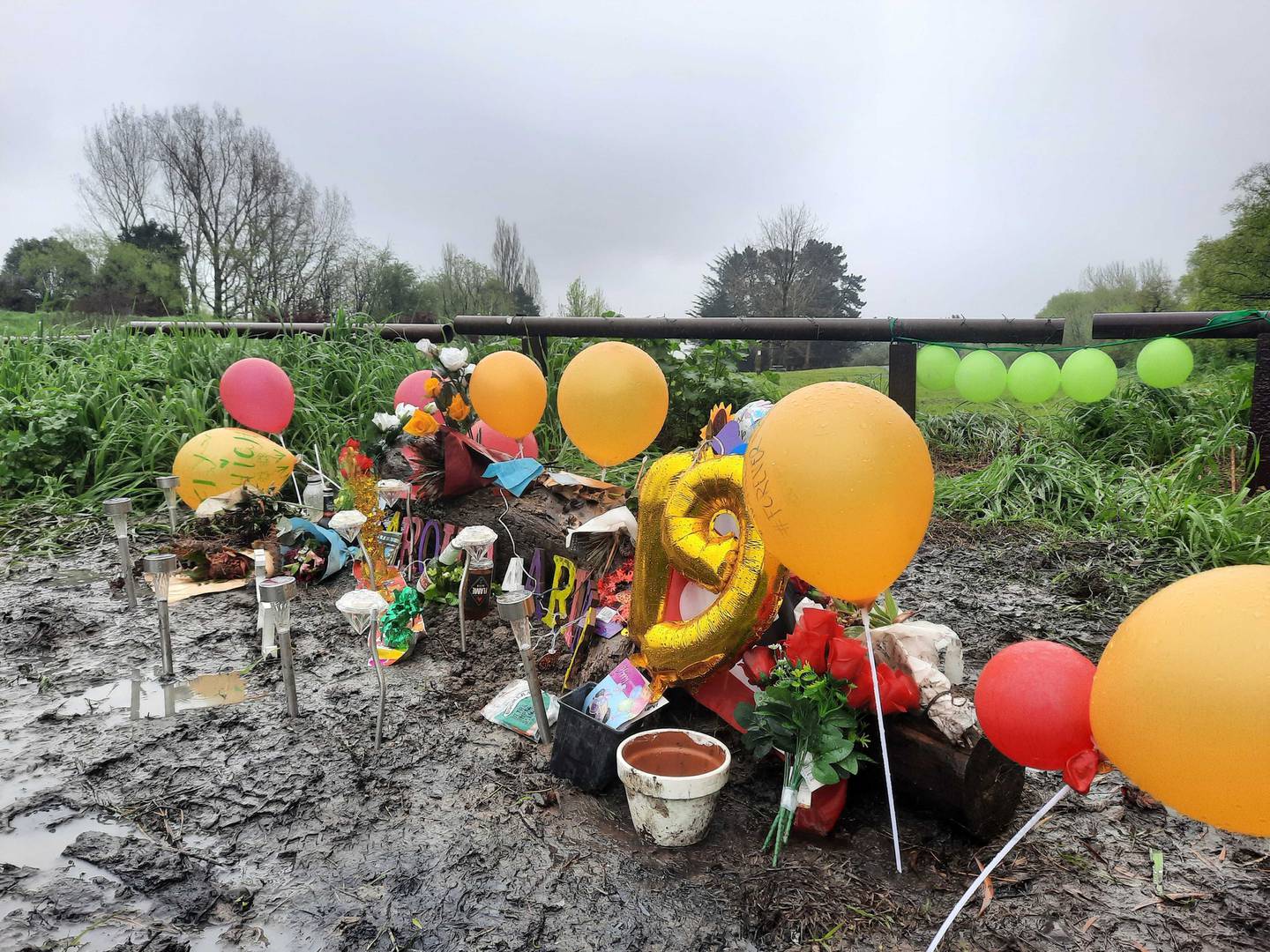 Murder victim Ariki Rigby would have turned 19 two weeks ago. Photo: Neil Reid