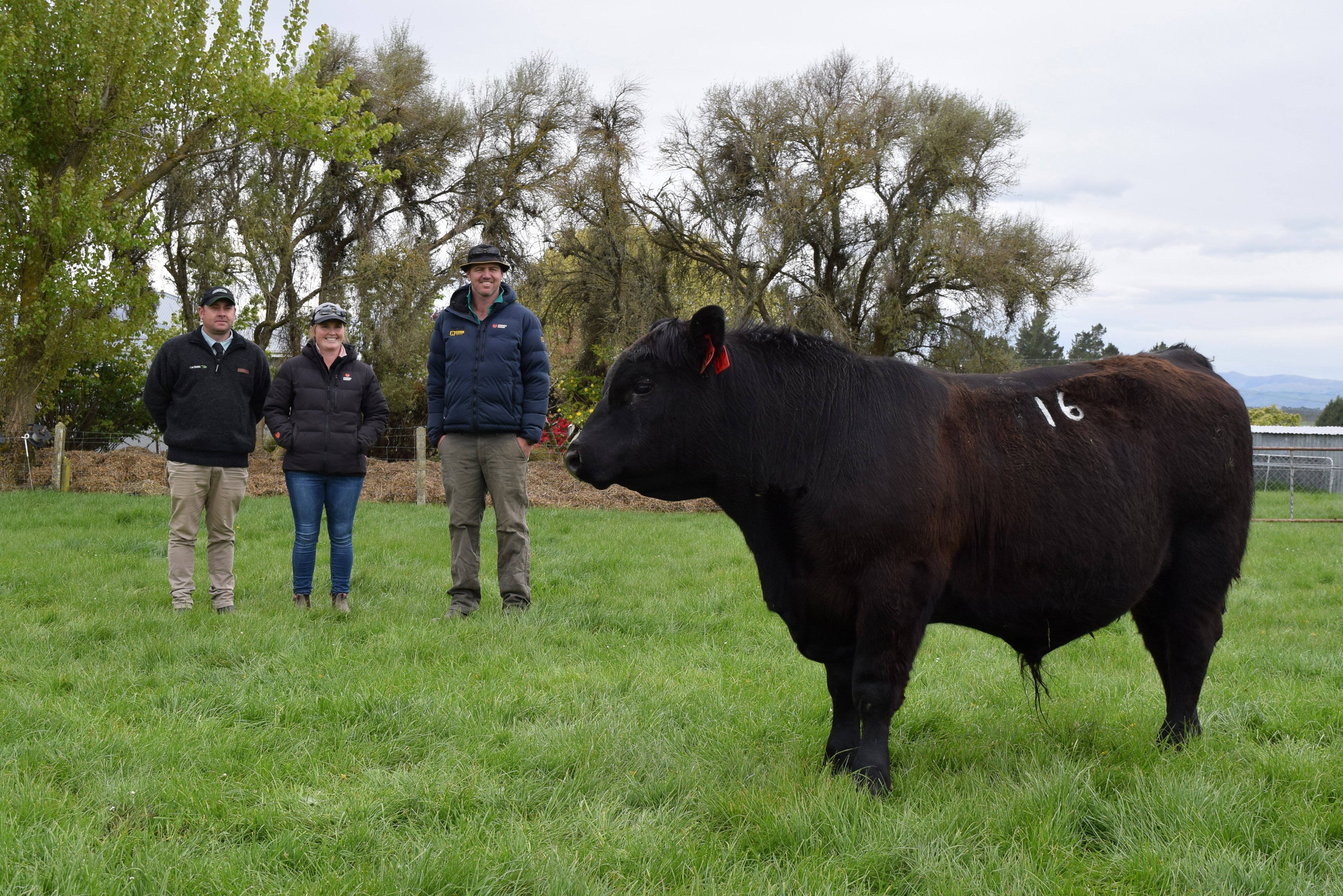 Inspecting the top price bull Rockley S043, which sold for $24,000, at Rockley Angus are (from...