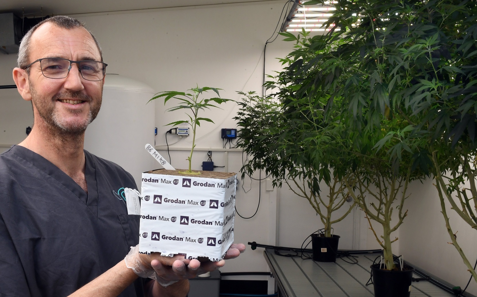 Pure Isolation co-founder Mike Breeze in his medicinal cannabis facility near Milton. Photo:...