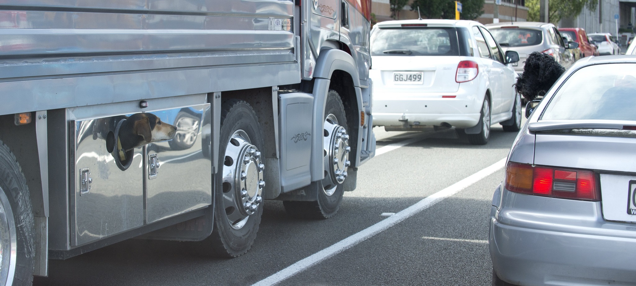 Photo: Gerard O'Brien