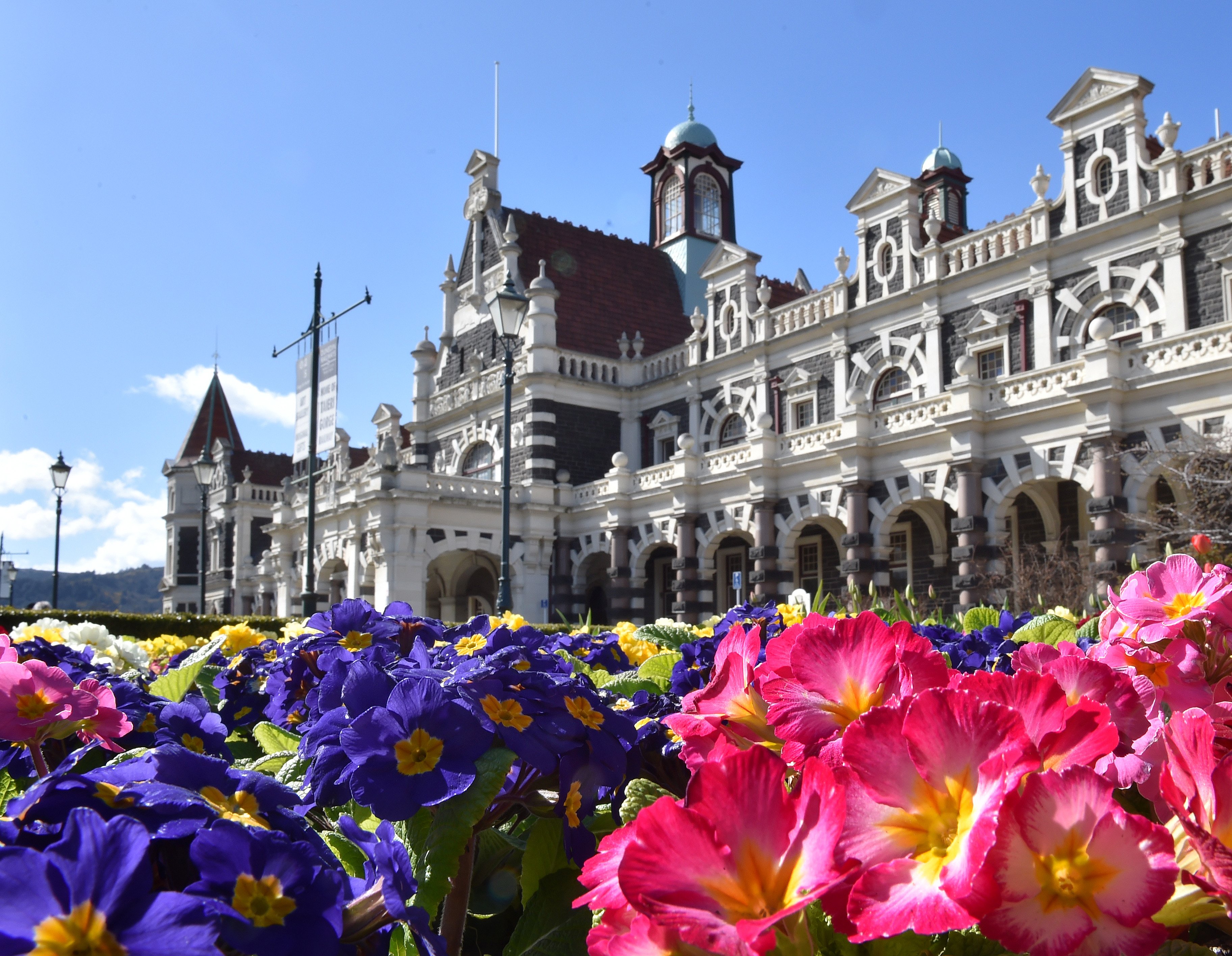 Photo: Gregor Richardson