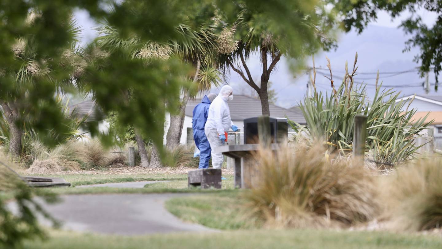 A man was stabbed multiple times while out walking his dog in Christchurch on Monday morning....