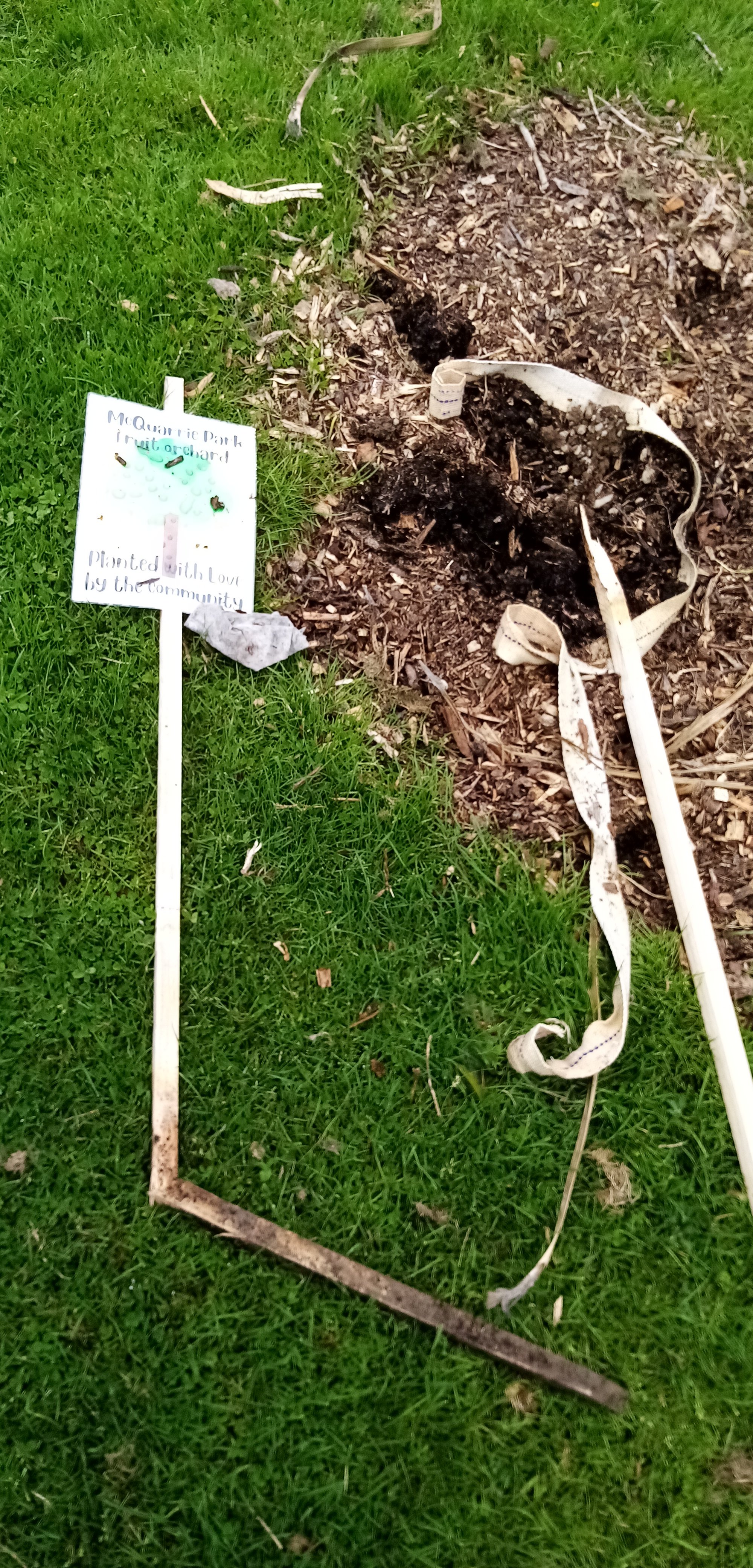McQuarrie Park Community Orchard in Invercargill was again vandalised over the weekend....