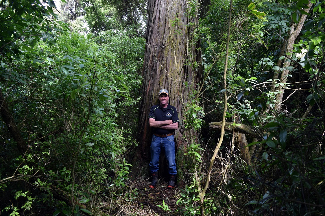 Farmer Barry Gray leans on a totara tree on his sheep and beef farm in the Catlins. Photo: Shawn...