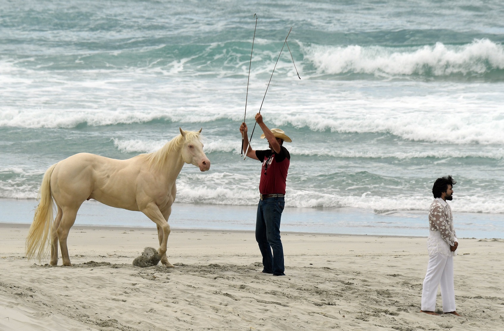 Wrangler Wayne McCormack works with a horse on set yesterday.