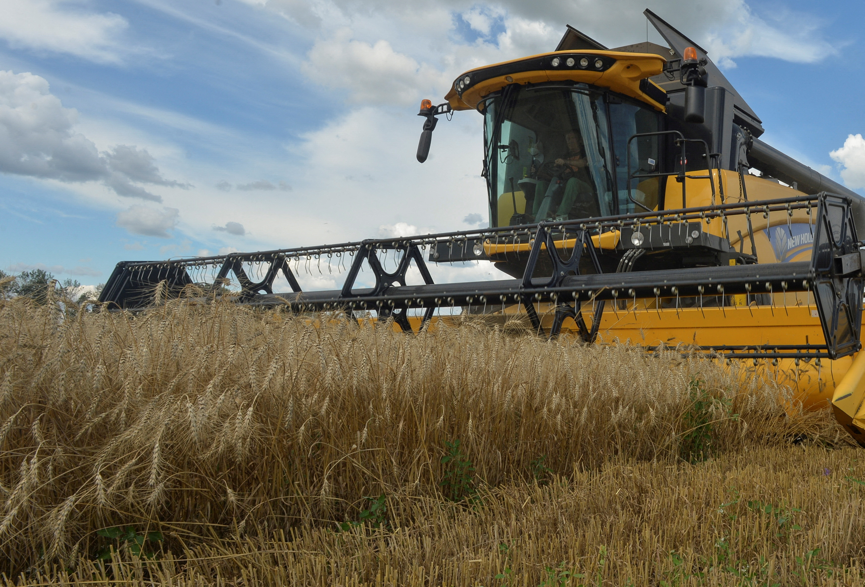 Ukraine is one of the world's biggest grain suppliers. Photo: Reuters