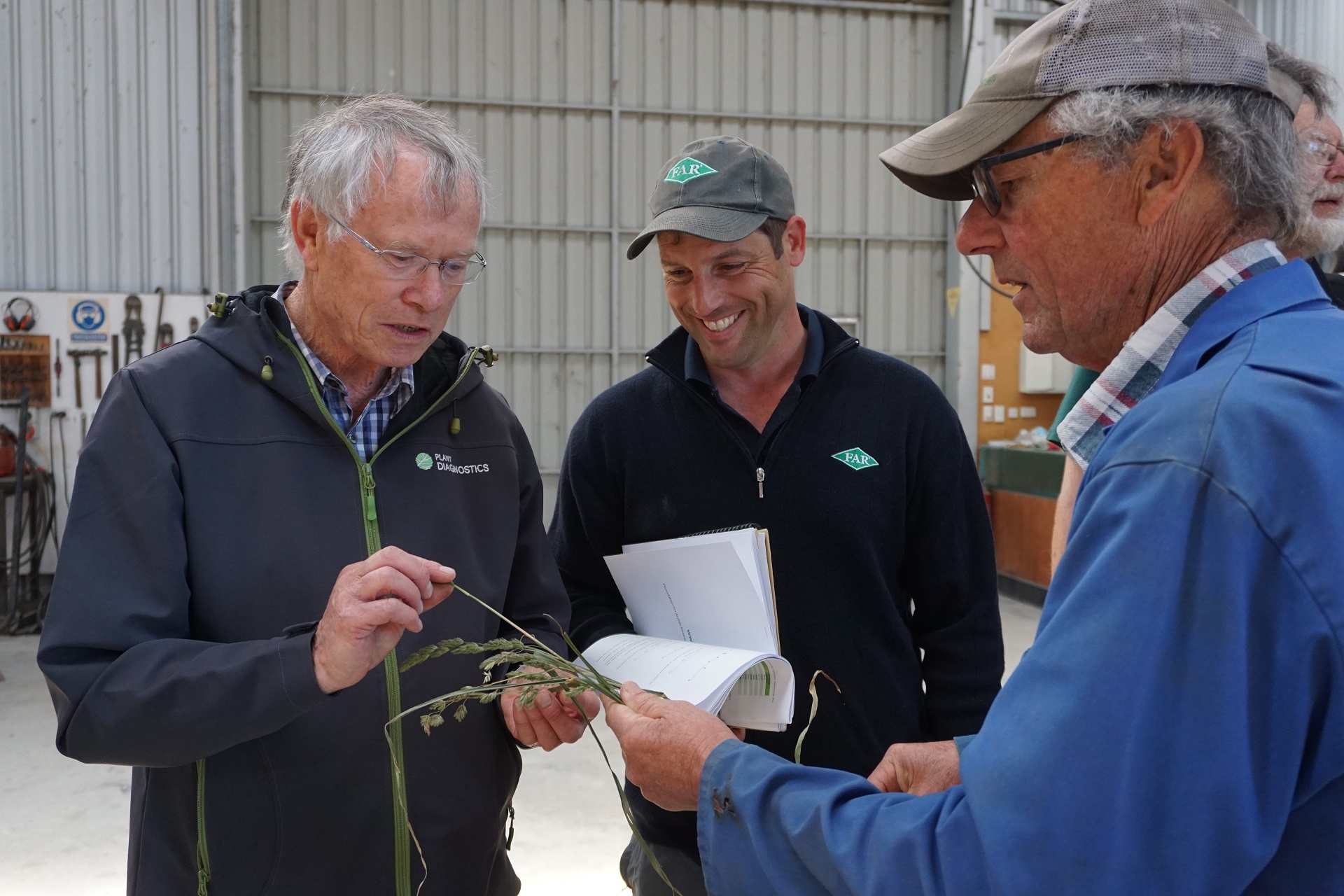 Identifying the cause of seed yield losses in cocksfoot are (from left) Mark Braithwaite of Plant...