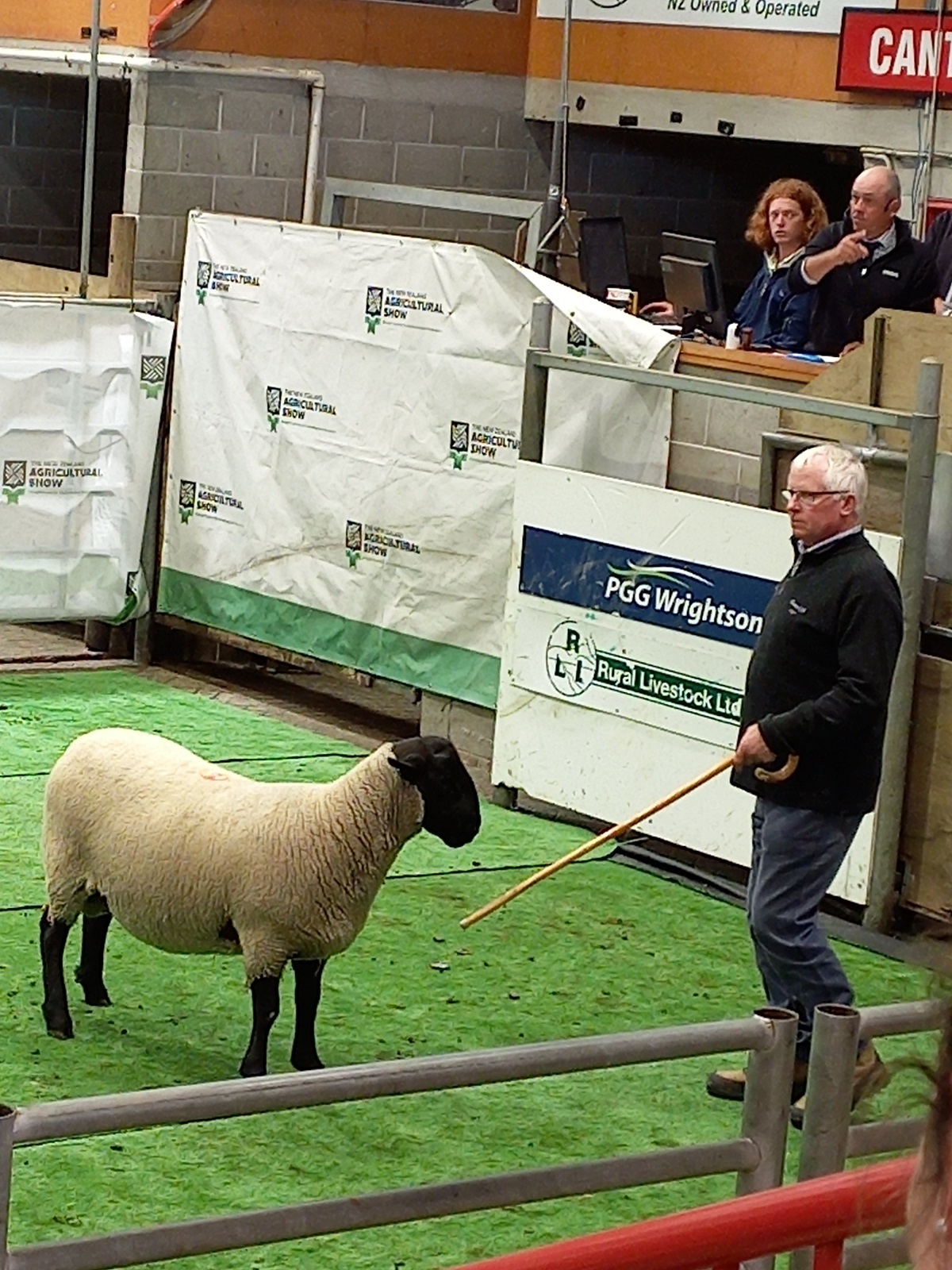 A suffolk ram topped the bidding at $17,000 — a record price for the breed at the Canterbury...