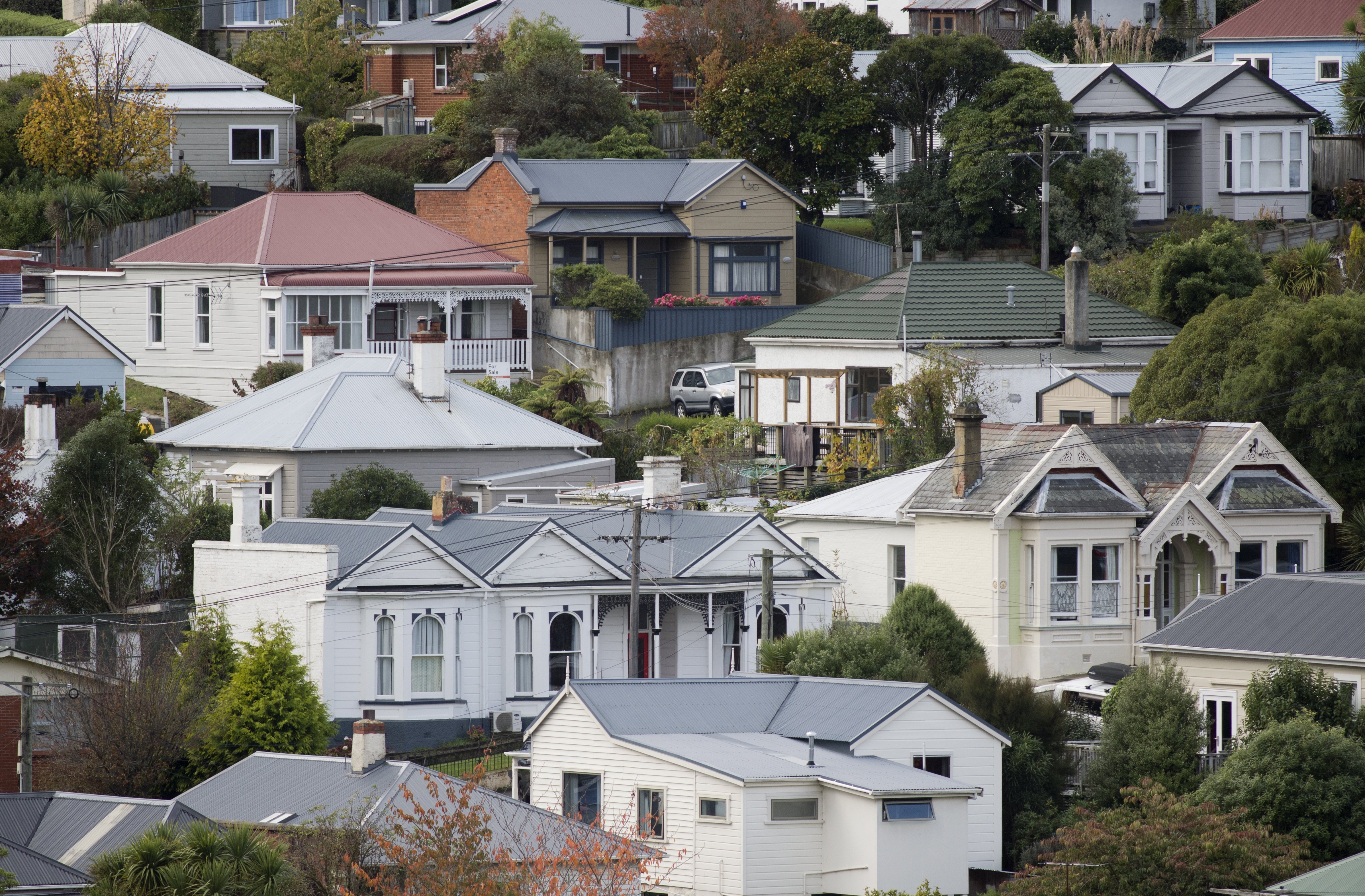 Property values in the lower half of Dunedin’s property market have dropped by 8.1%. PHOTO:...
