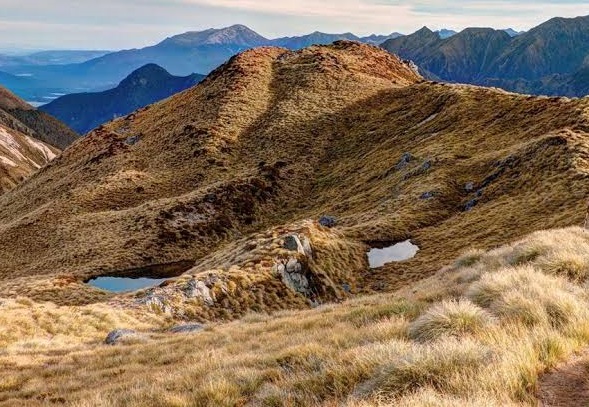 The Kepler Track in Fiordland National Park. Photo: DOC