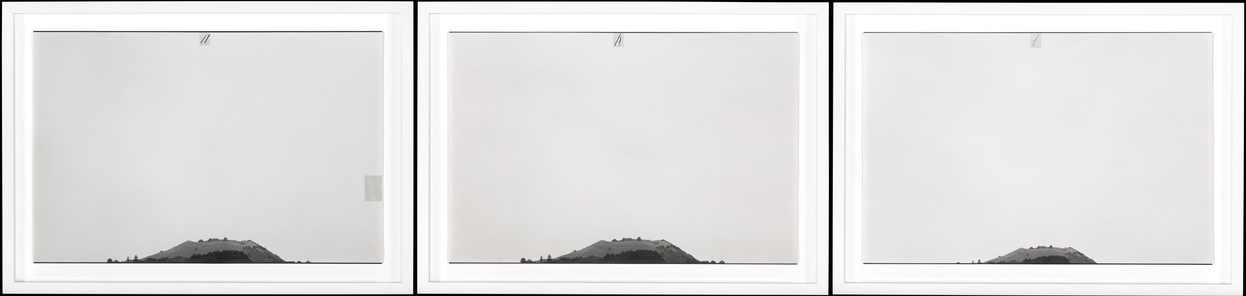 Shane Cotton, Hiahia, 1997, black and white photographs, gelatin silver prints. Te Papa. Photo:...