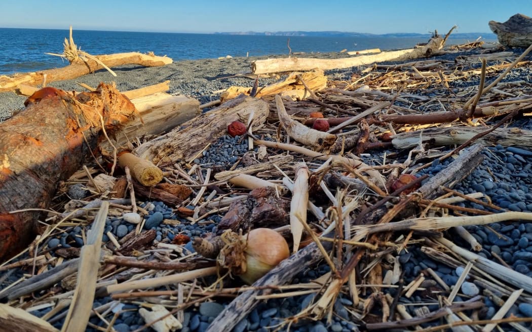Produce from farms and orchards lies among forestry slash on the beach at Napier earlier this week. Photo: RNZ