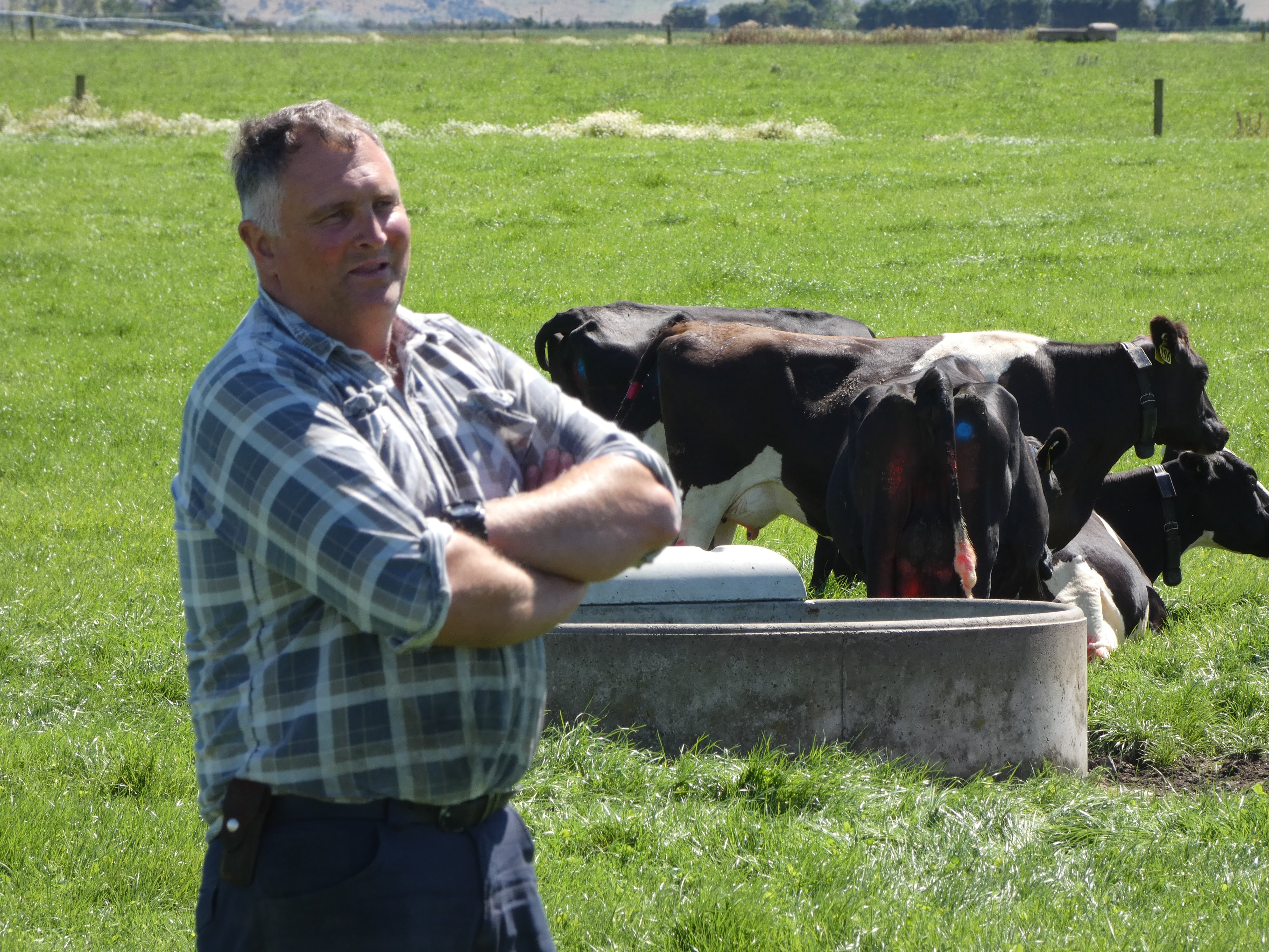 Virtual fencing technology proves its worth on farm | Otago Daily Times  Online News