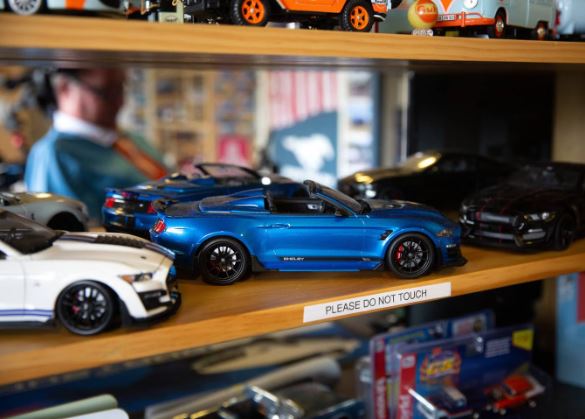 David Seymour's car collection at Maygrove Village Hospital spills out into the hallway. "They...