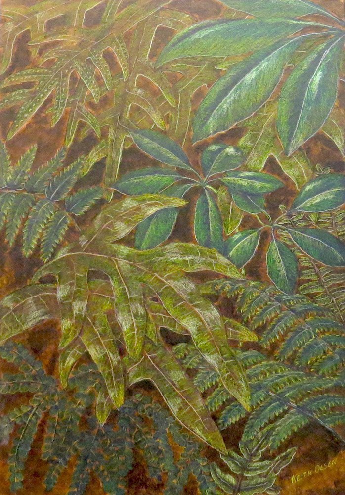 Forest Fern, by Keith Olsen.