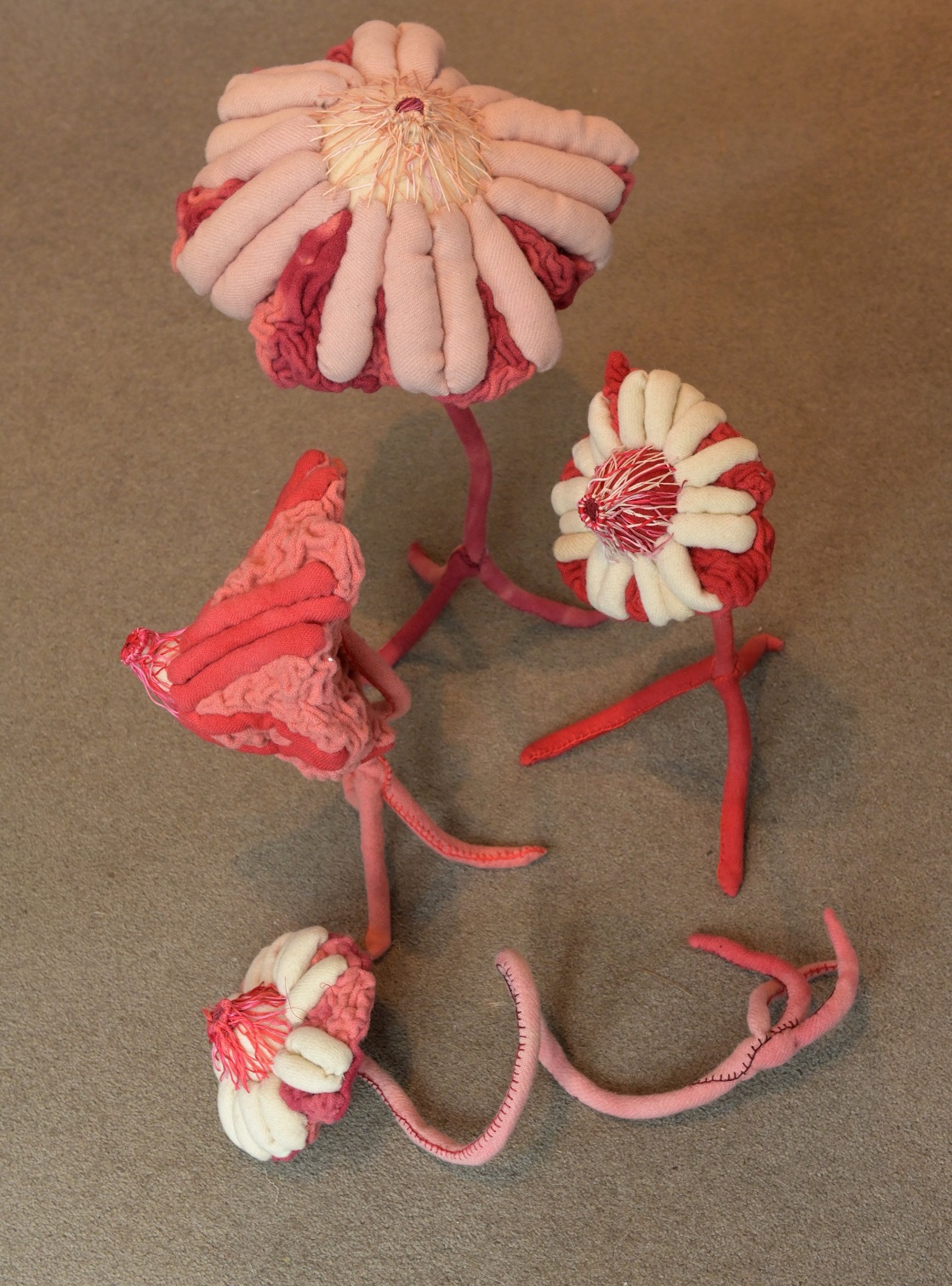 A collection of the smaller breast "flowers".