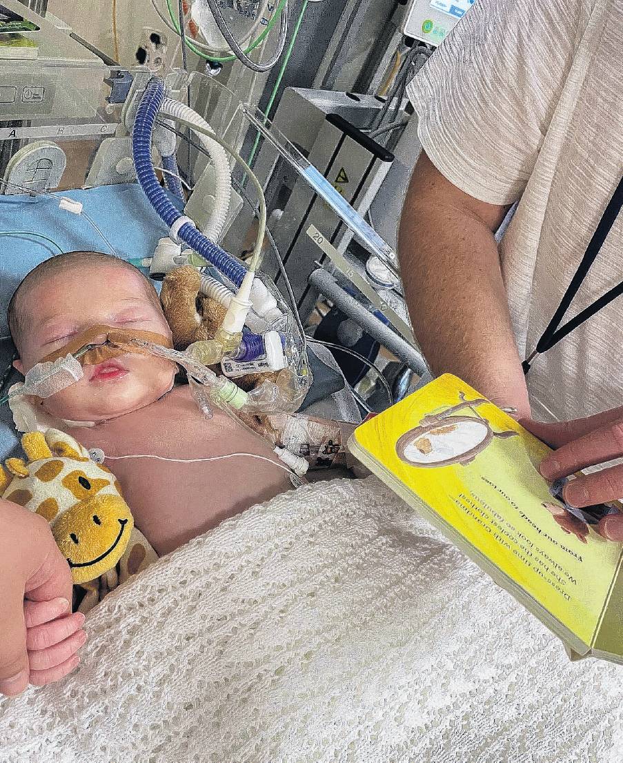 Hospital vigil . . . Marley Gentleman being cared for round the clock in hospital. PHOTO: SUPPLIED