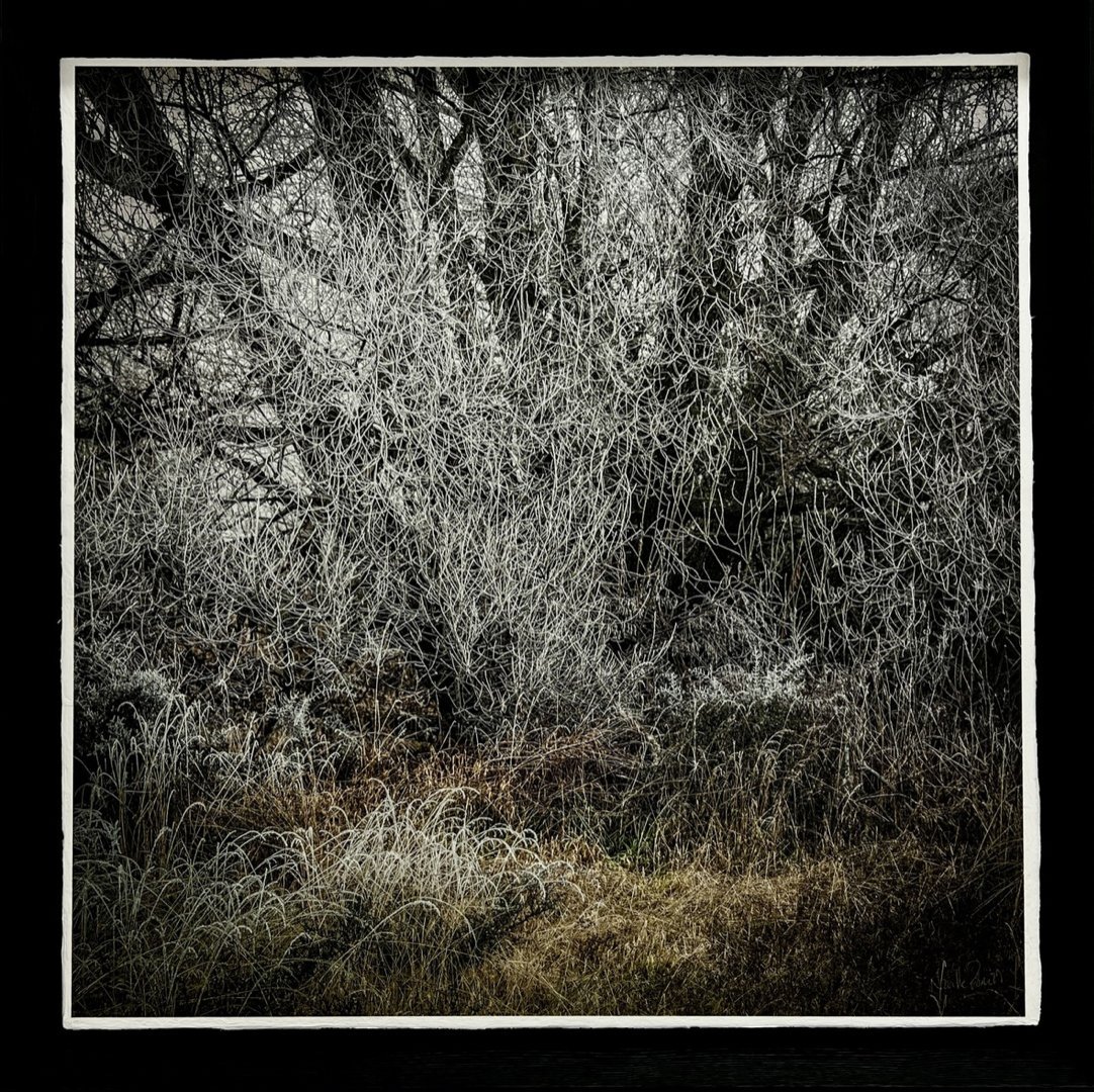 Ida Valley Winter, Maniototo, by Neville Porter. Photo: Neville Porter and Nigel Wilson