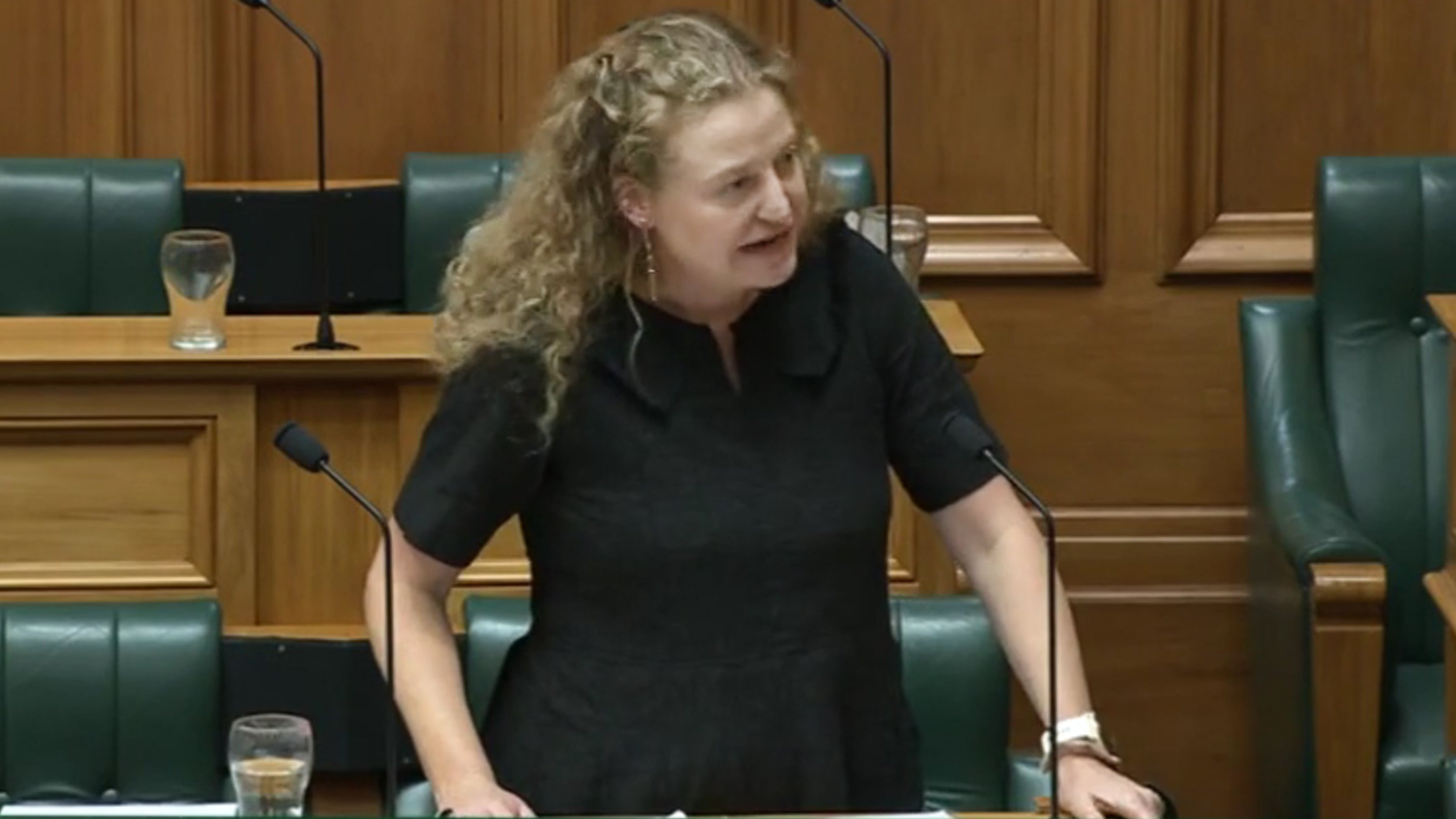 Dunedin Labour list MP Rachel Brooking leads off the debate on the Budget Policy Statement on...