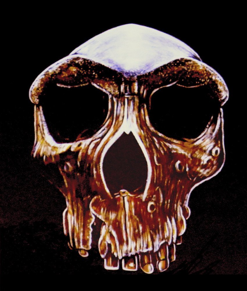 Homo Heidelbergensis, by Bruce Mahalski.