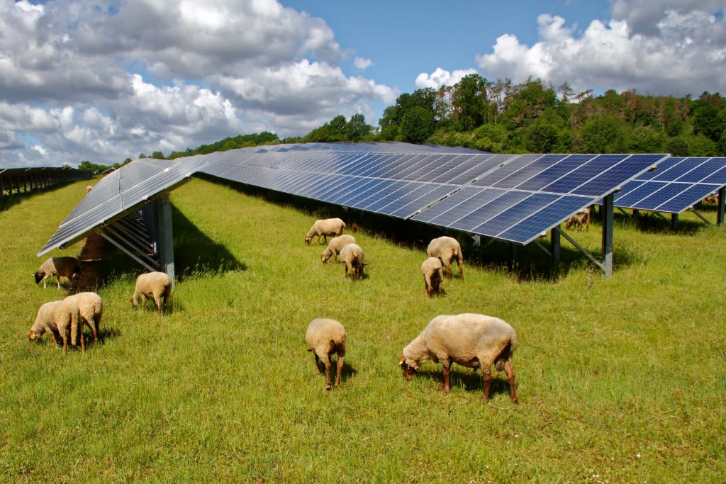 Solar panels in Germany. Photo:  Karl-Friedrich Hohl