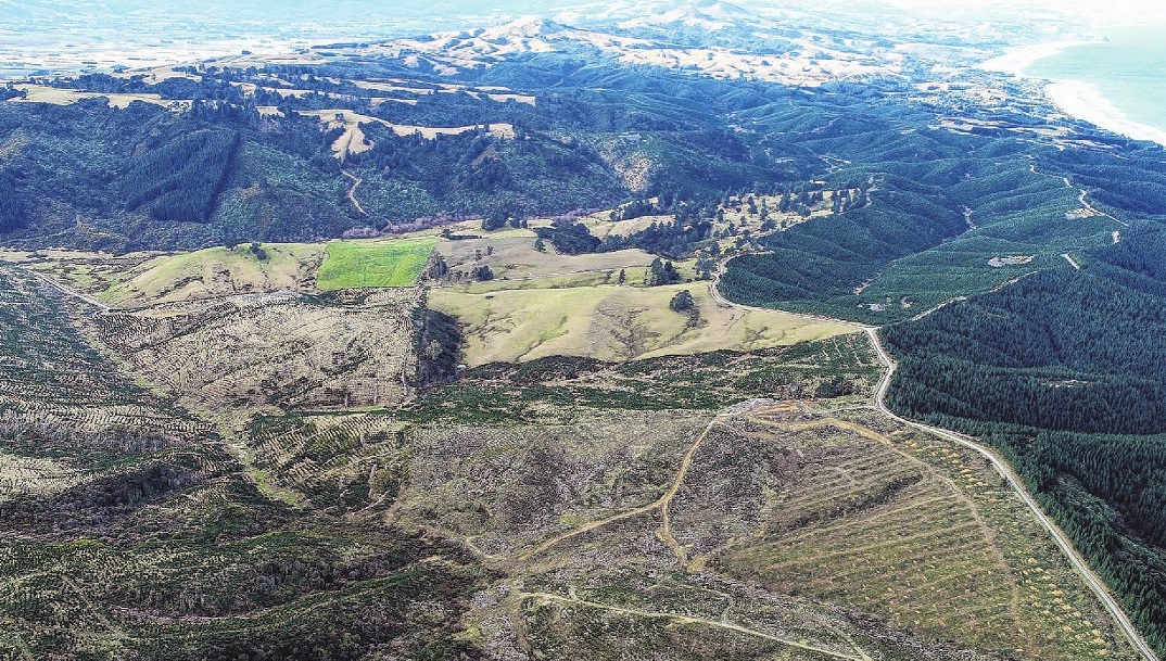 Smooth Hill, site of the proposed landfill. Photo: ODT files