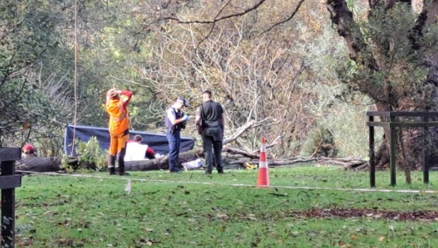 Emergency services were called to Hagley Park on Monday morning. Photo: NZ Herald