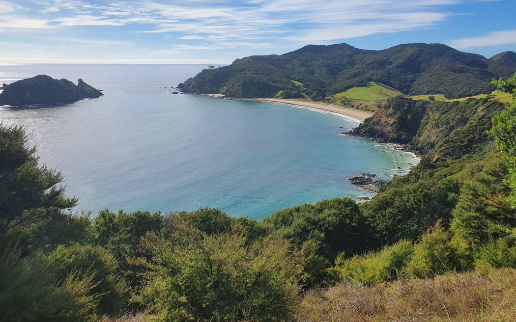 Great Barrier Island. Photo: RNZ/Carol Stiles