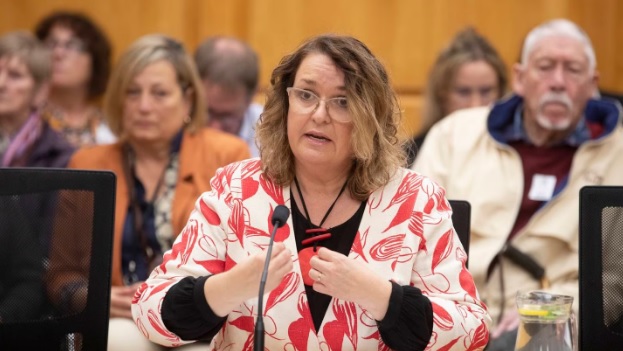 Education Minister Jan Tinetti appears before Parliament's privileges committee. Photo: NZ Herald