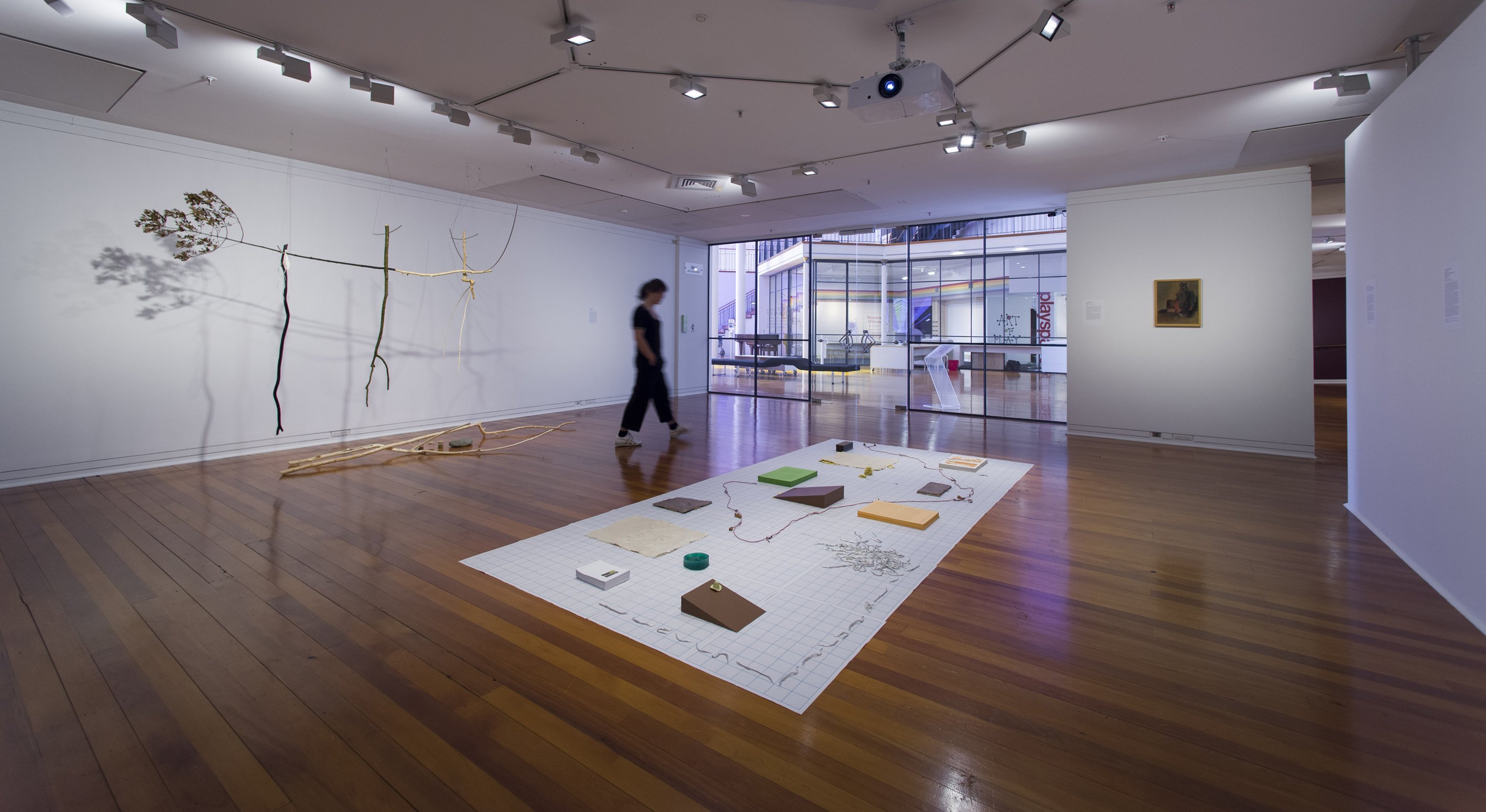 A view of Simon Palenski’s curated "Memories of a Naturalist". Photos: Dunedin Public Art Gallery...