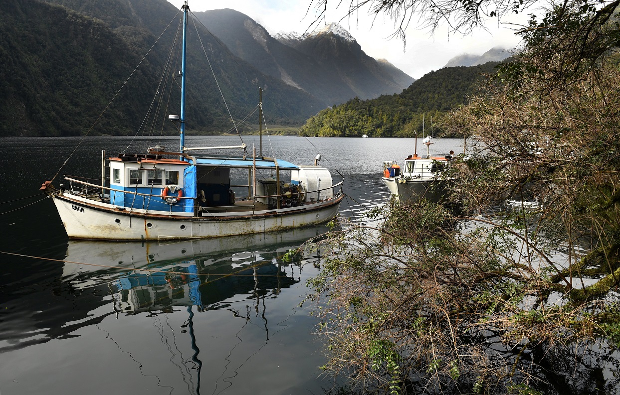 Optimism over new Fiordland fishing limits Otago Daily Times Online News image picture